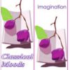 Colección de música clásica Classical Moods Botopro
